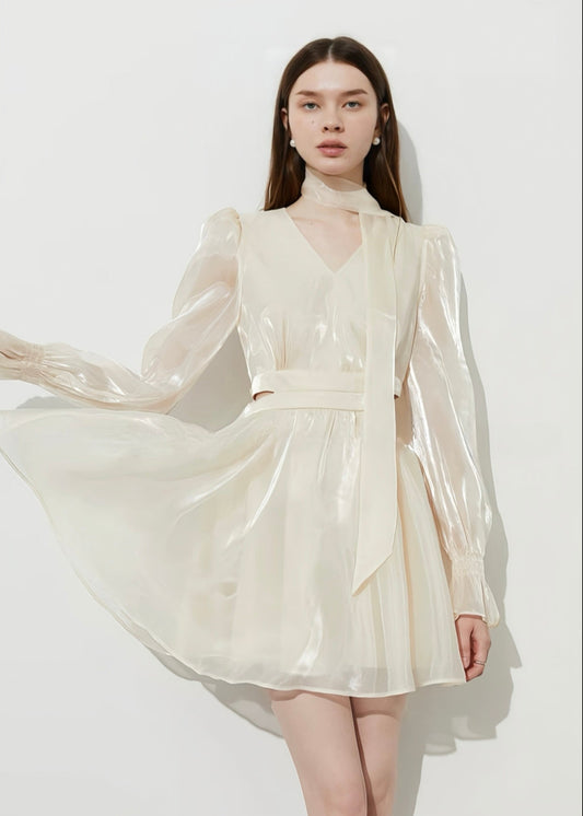 Sheer Chiffon Dress