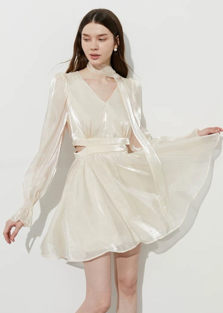 Sheer Chiffon Dress