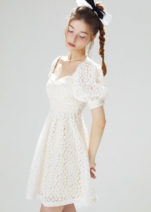 Flower Embroidery Mini Dress