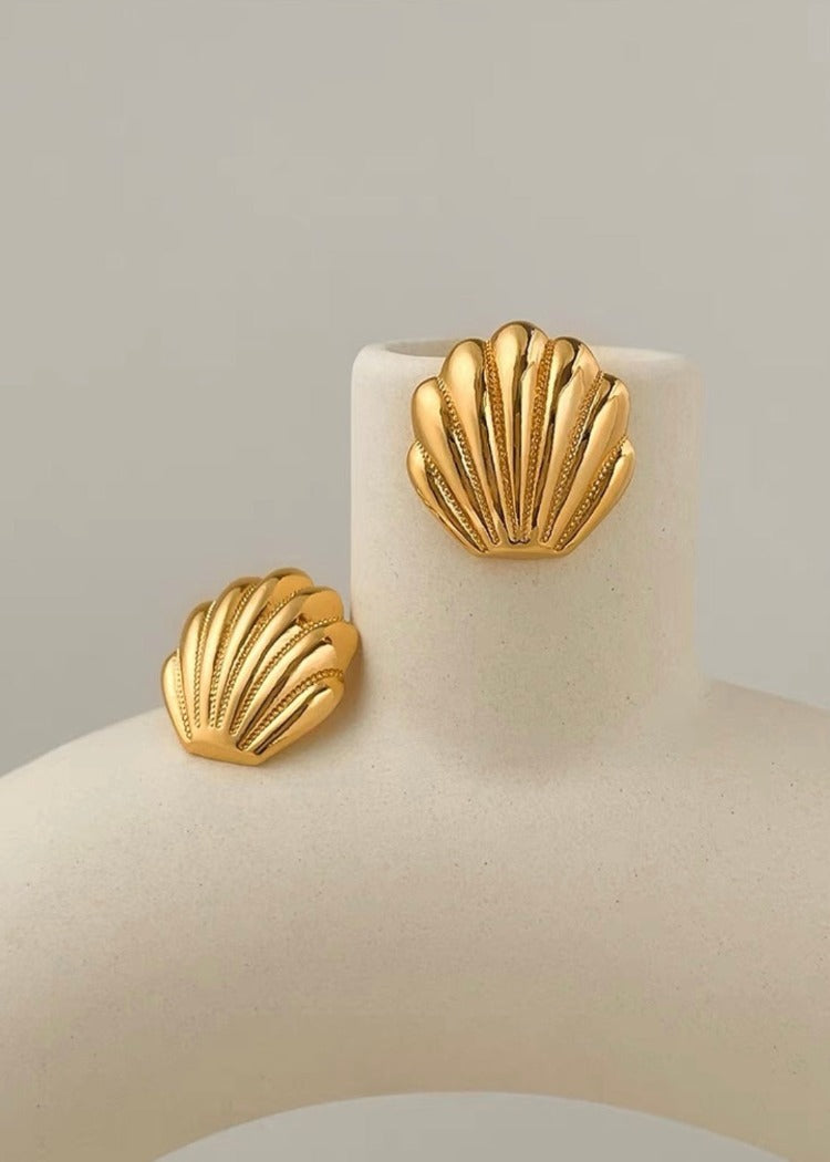 Shell earings